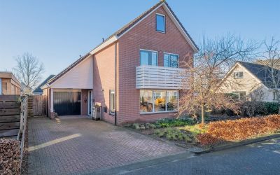 Hofjes 8