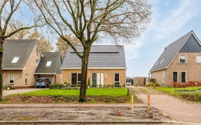 Steenwijker. 87