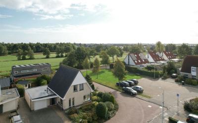 Roggeblom 11