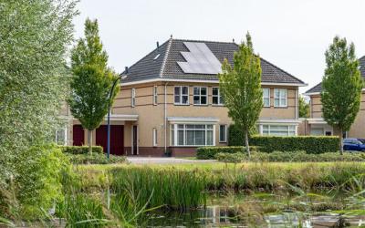 Delling 6