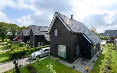 de Stip 4