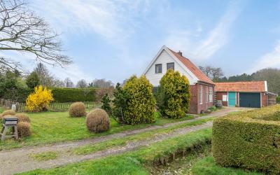 Oosterwolds. 49