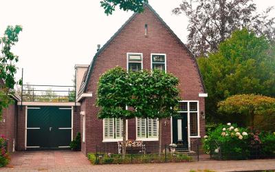 Zonnebloems. 29