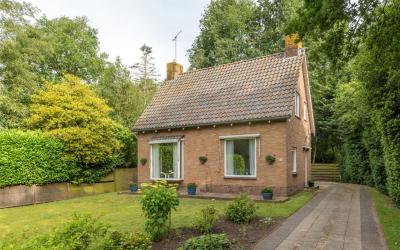 Rotstergaas. 26