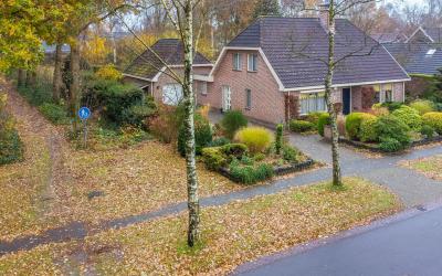 Hoefblad 3
