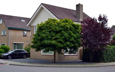 Roerdomplaan 25