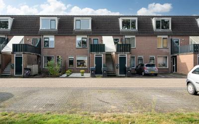 Roede 11