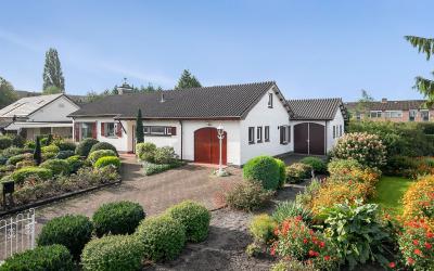 Steenwijker. 46