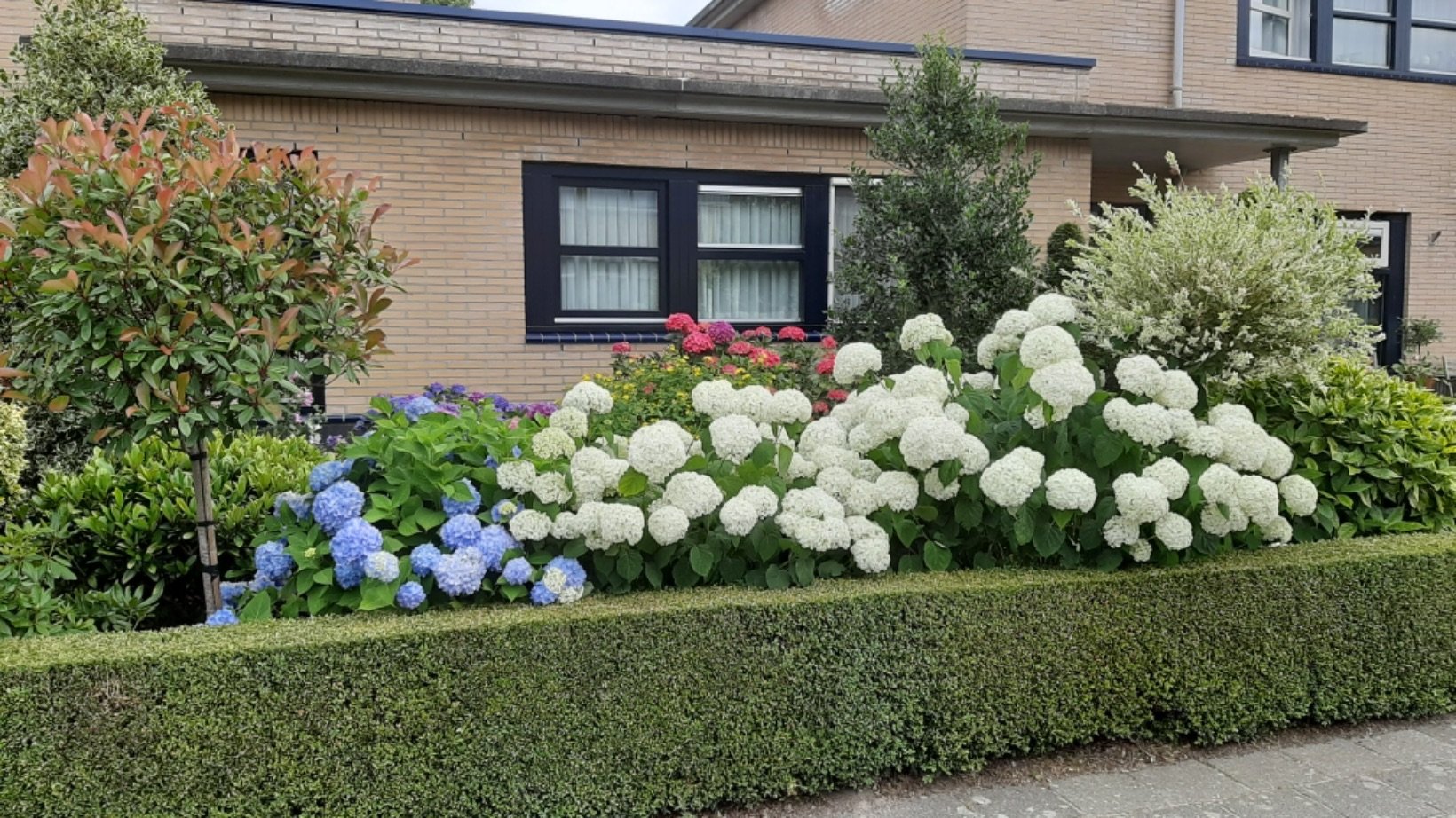 Tussenwoning te koop: Dr.Schaepmanstraat 32, Wolvega