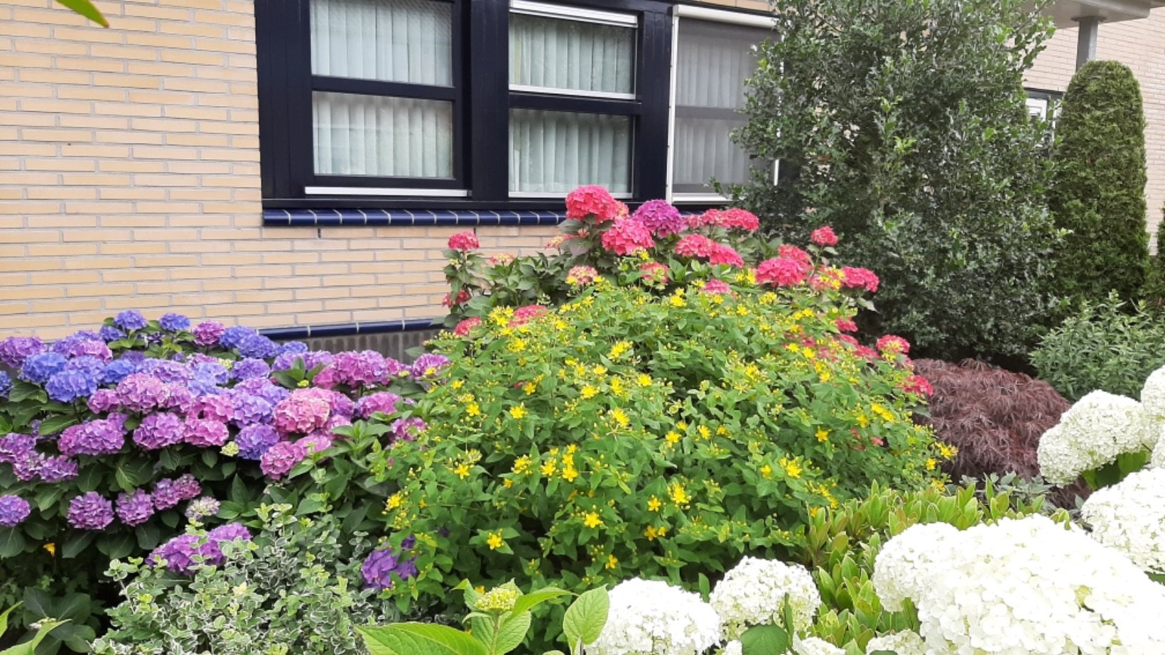 Tussenwoning te koop: Dr.Schaepmanstraat 32, Wolvega