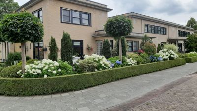 Dr.Schaepmanstraat 32