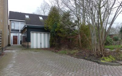 Lavendelheide 14