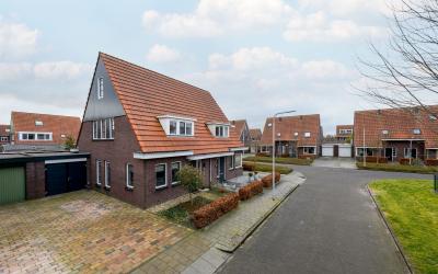 Kleine vos 20