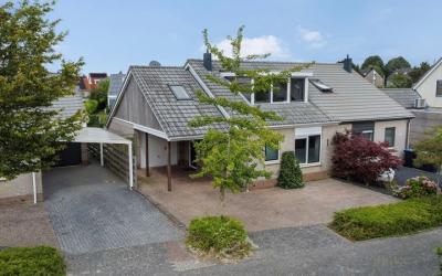Scholekster 28