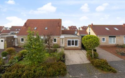 Scholekster 6