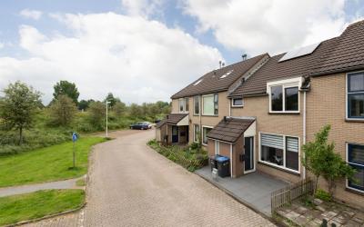 Rode Klaver 45