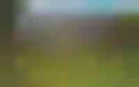 Lytse Finne 3