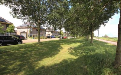 De Ielreager 25