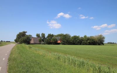 Waltingalea. 2