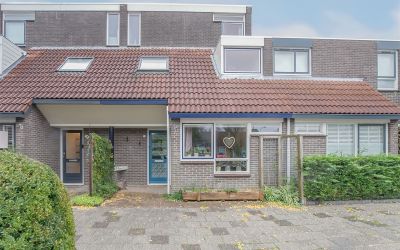 Schoener 12