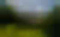 Hearewei 39
