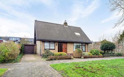 De Spiker 2