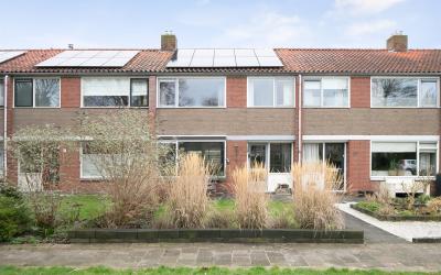 Groen van P. 81
