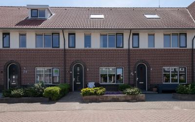 Boontjes 31