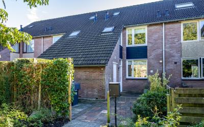 Schokkerhof 6