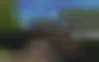 Oosterend 4