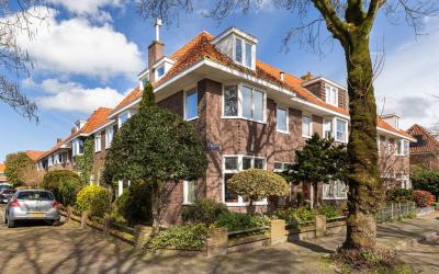 Ibisstraat 8