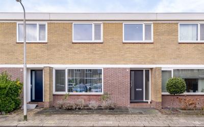 de Bird 73