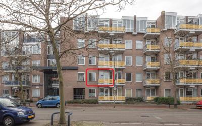Zuidvliet 458