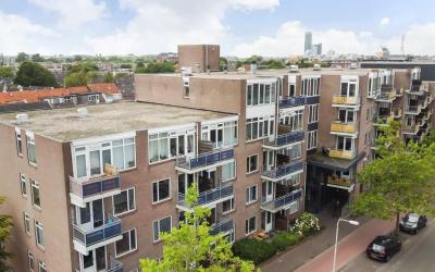 Zuidvliet 498