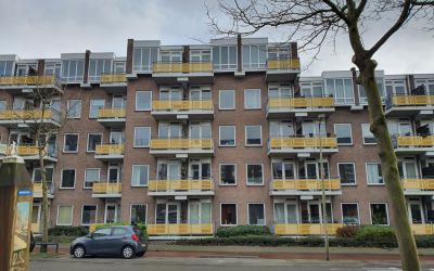 Zuidvliet 542