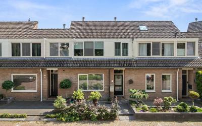 Boerhaavest. 34