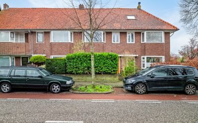 Goudenregen. 7