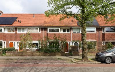 Goudenregen. 32