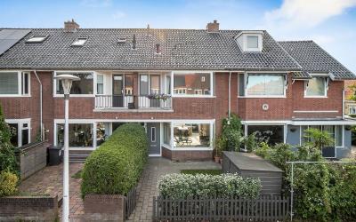 Goudsbloems. 7