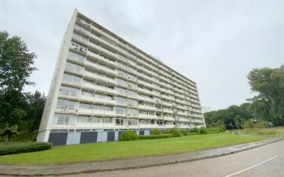 van Harinxm. 110