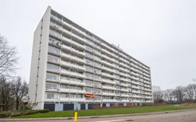 van Harinxm. 145