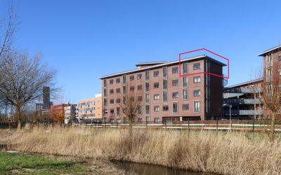 Achter de H. 50-D