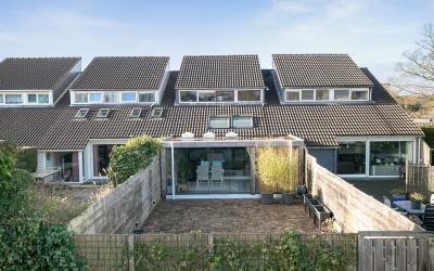 Zenegroen 37