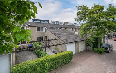 Zenegroen 8