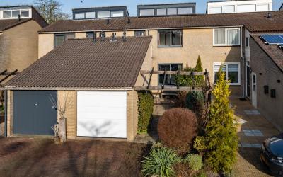 Zenegroen 42
