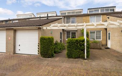 Zenegroen 48
