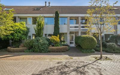 Sleutelbloem 35