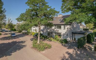 Sleutelbloem 28