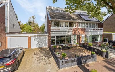 Sleutelbloem 66