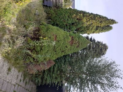It Skûtsje 2